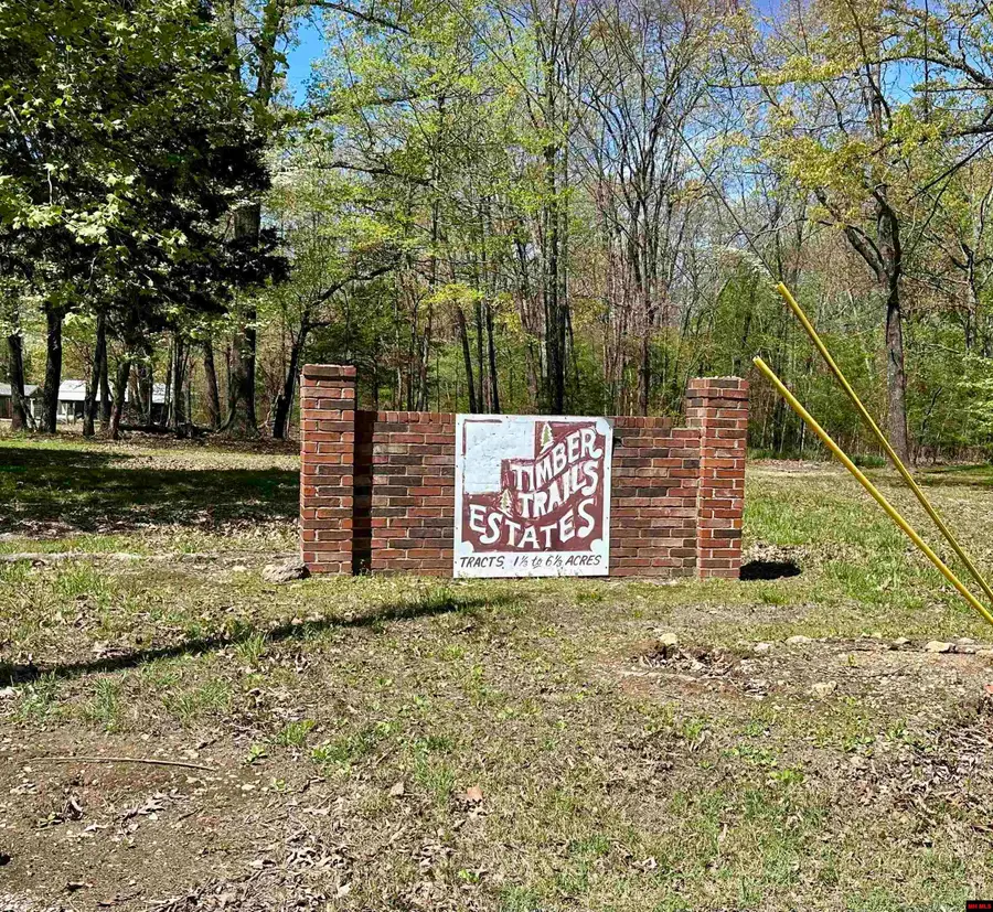 LOTS 6 & 7 HOMESTEAD LANE, Cotter, AR 72626 - #3
