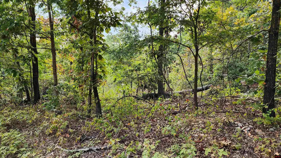 6901 MC 6061, Flippin, AR 72634 - #2