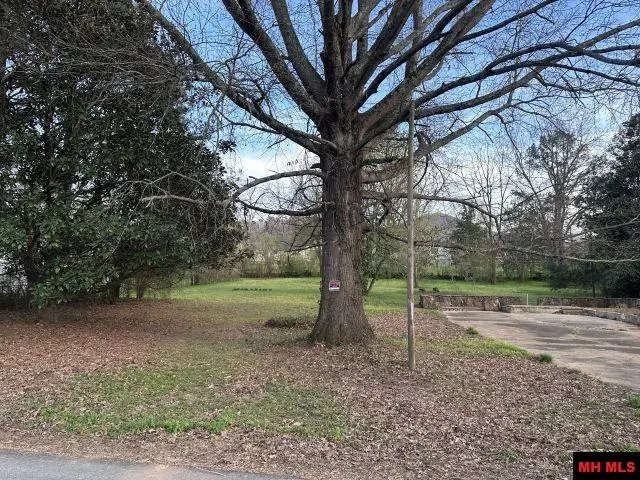 507 W COURT STREET, Jasper, AR 72641 - #2