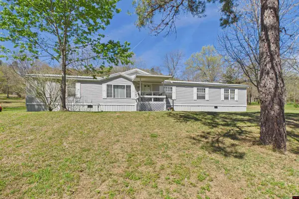 6072 HWY 223, Pineville, AR 72566