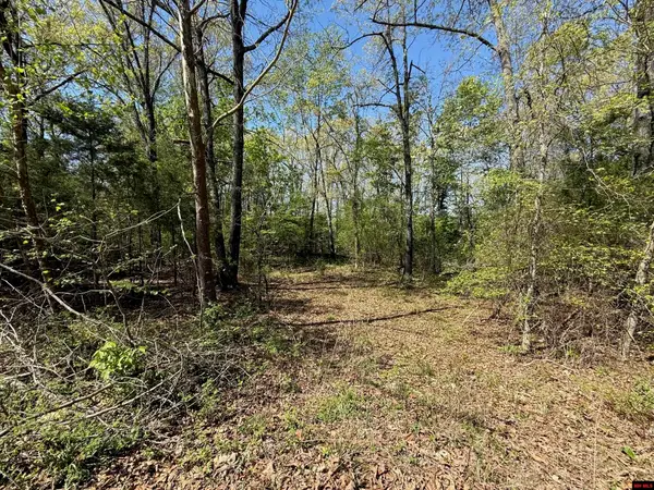 22 BIG TREE COURT, Elizabeth, AR 72531