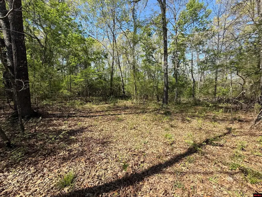 22 BIG TREE COURT, Elizabeth, AR 72531 - #2