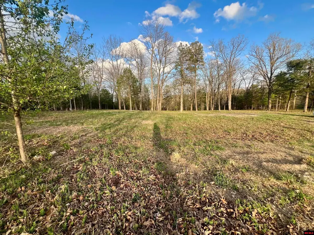 Lot 8 TEAL POINT ROAD, Mountain Home, AR 72653 - #1