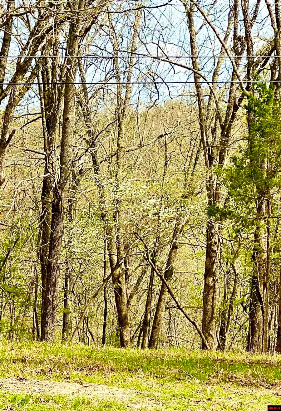 Lot 8 TEAL POINT ROAD, Mountain Home, AR 72653 - #2