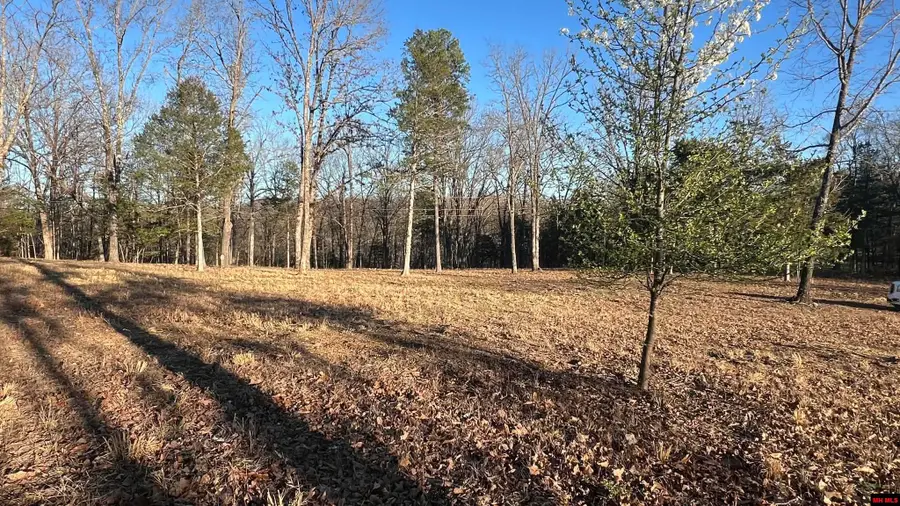 Lot 8 TEAL POINT ROAD, Mountain Home, AR 72653 - #3