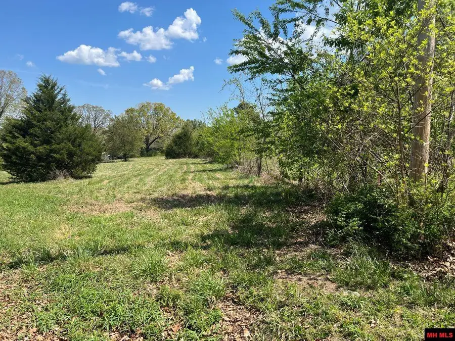 3089 CR 27, Mountain Home, AR 72653 - #3