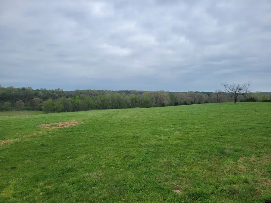 041102000000012 HWY 95, Barren Fork, AR 65773 - #2