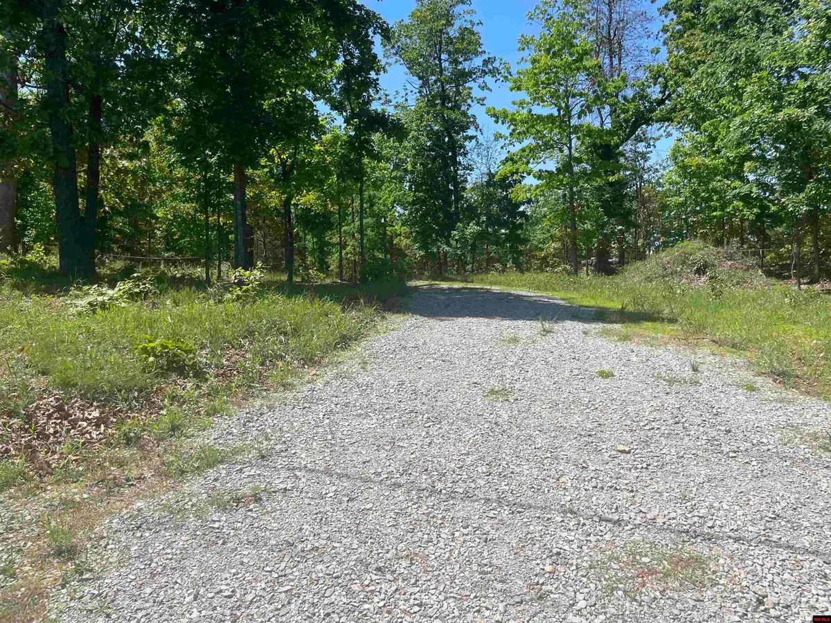 001-02299-000 HWY 342, Mountain Home, AR 72653 - #1