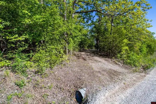 Lot 7 CR 476, Clarkridge, AR 72623