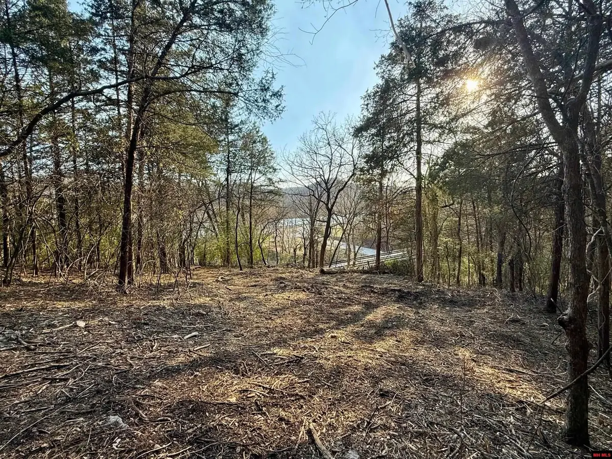 004-00632-000 HWY 345, Cotter, AR 72626 - #1