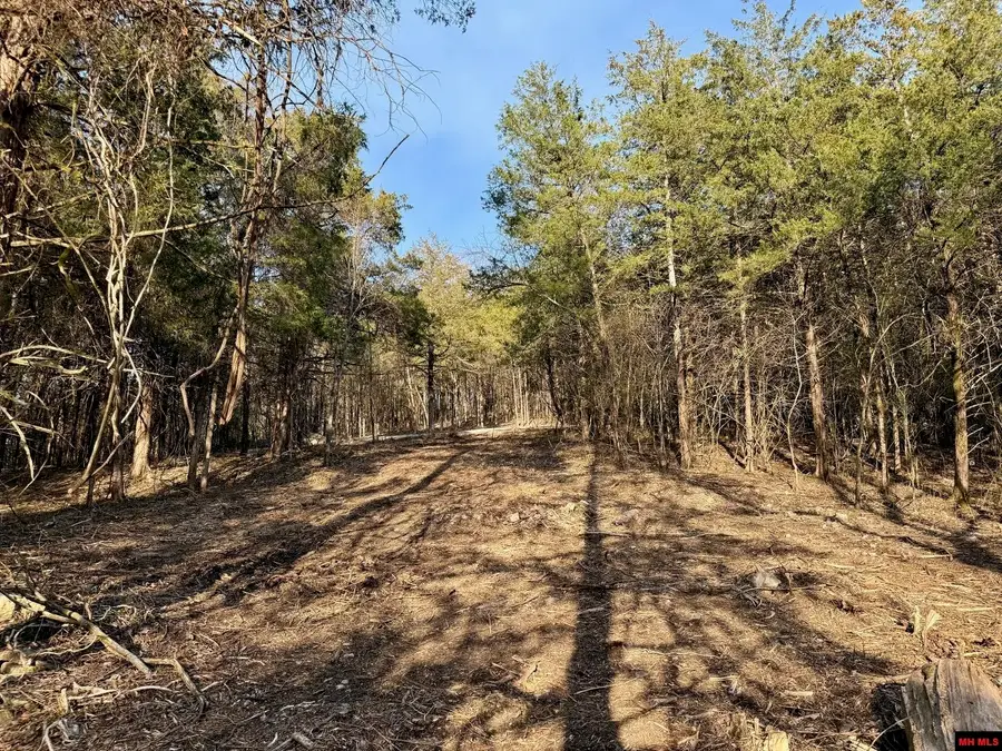 004-00632-000 HWY 345, Cotter, AR 72626 - #2
