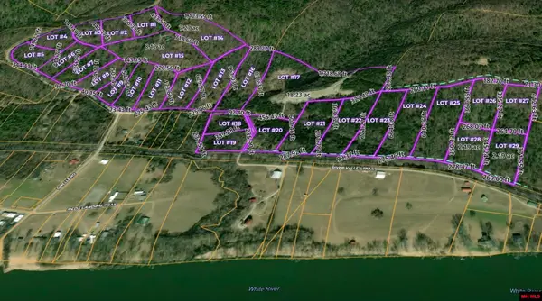 001-01299-000 DWELLE ROAD, Norfork, AR 72658