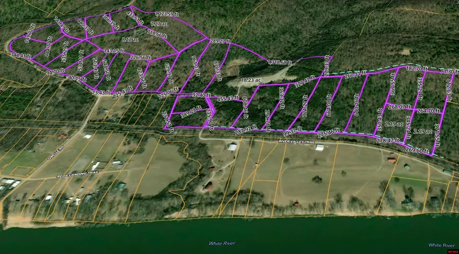 001-01299-000 DWELLE ROAD, Norfork, AR 72658 - #2