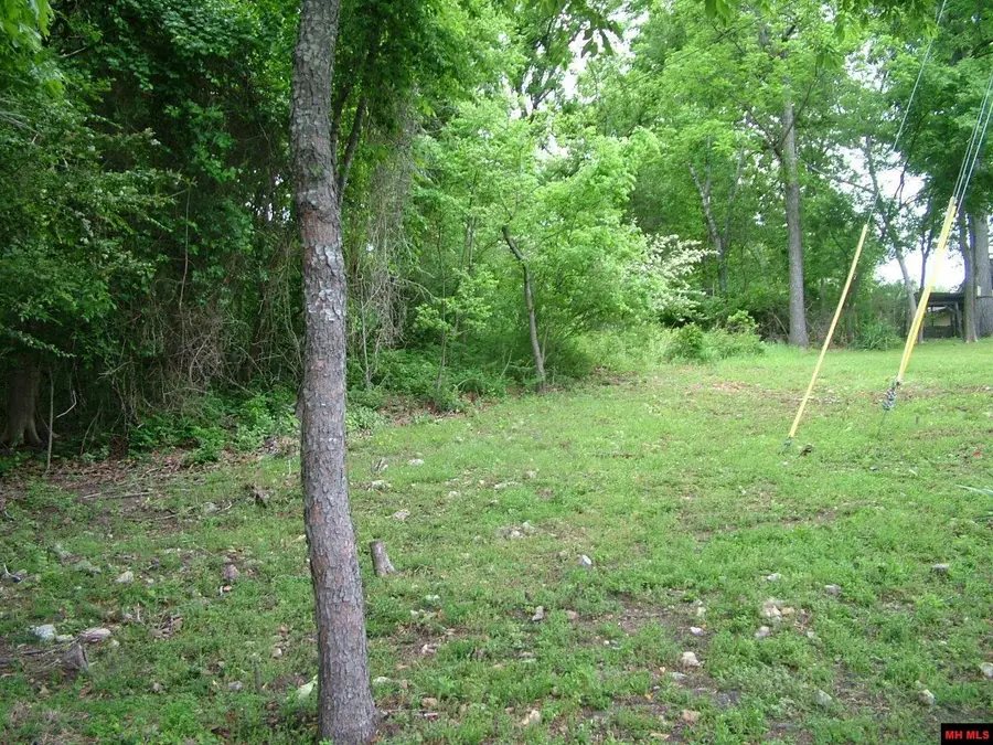 007-01929-508 FRANKLIN AVENUE, Mountain Home, AR 72653 - #3