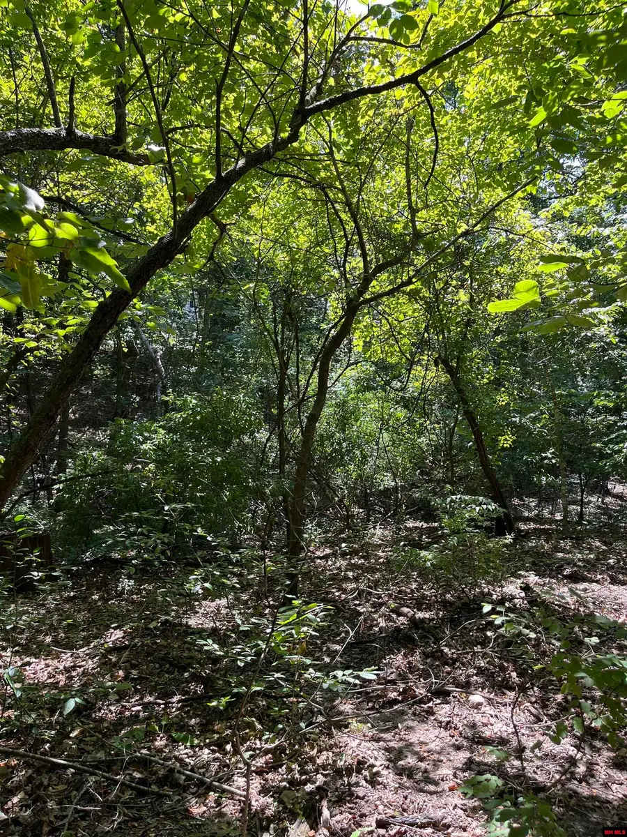 002-10879-000 SYCAMORE TREE LANE, Lakeview, AR 72642 - #2