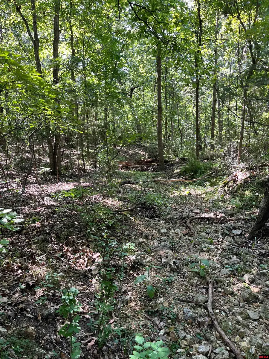 002-10879-000 SYCAMORE TREE LANE, Lakeview, AR 72642 - #3