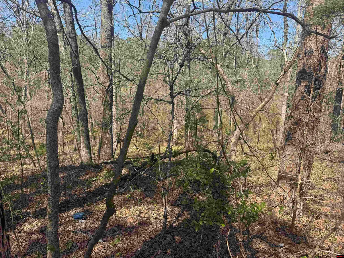 009-00062-000 HWY 177, Salesville, AR 72653 - #1