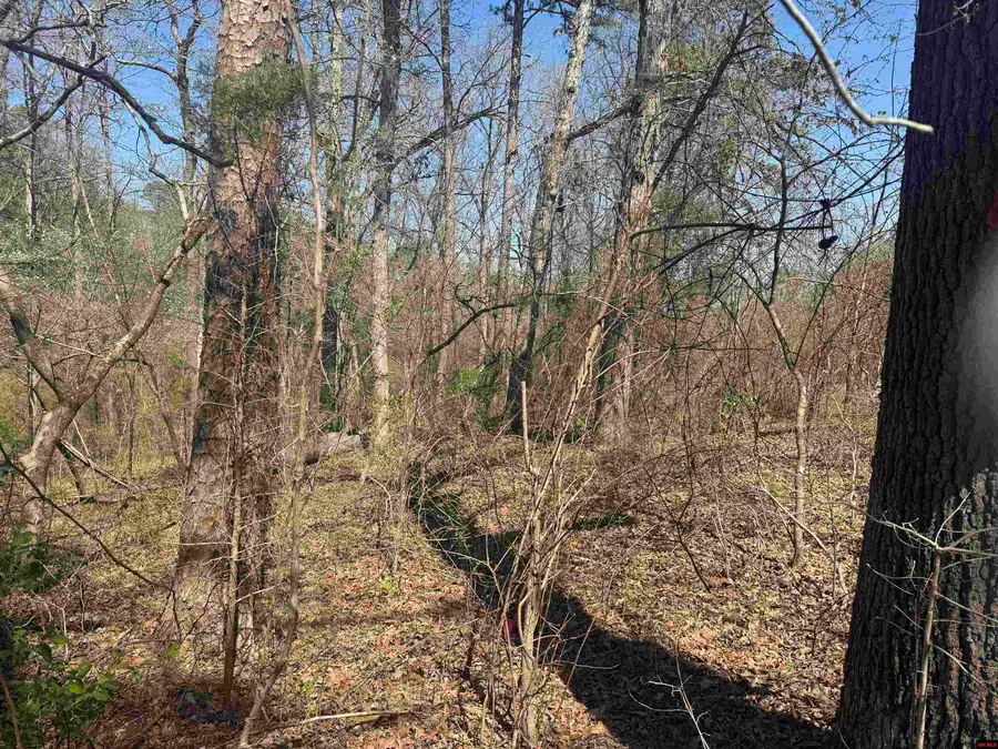 009-00062-000 HWY 177, Salesville, AR 72653 - #2