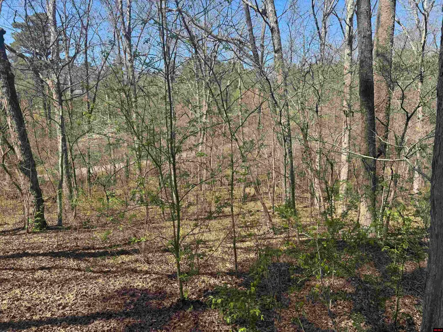009-00062-000 HWY 177, Salesville, AR 72653 - #3