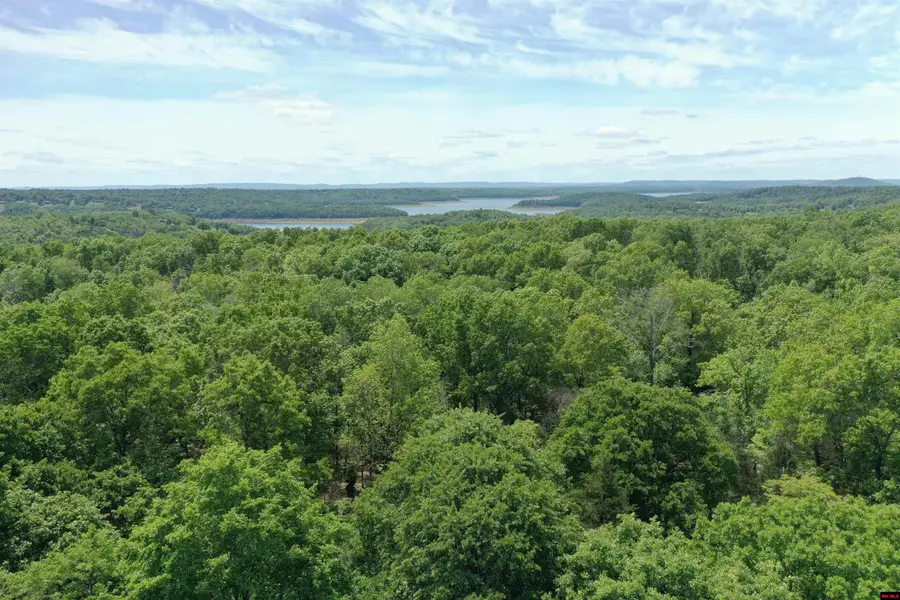 100 McCRACKEN RIDGE ROAD, Mountain Home, AR 72653 - #2