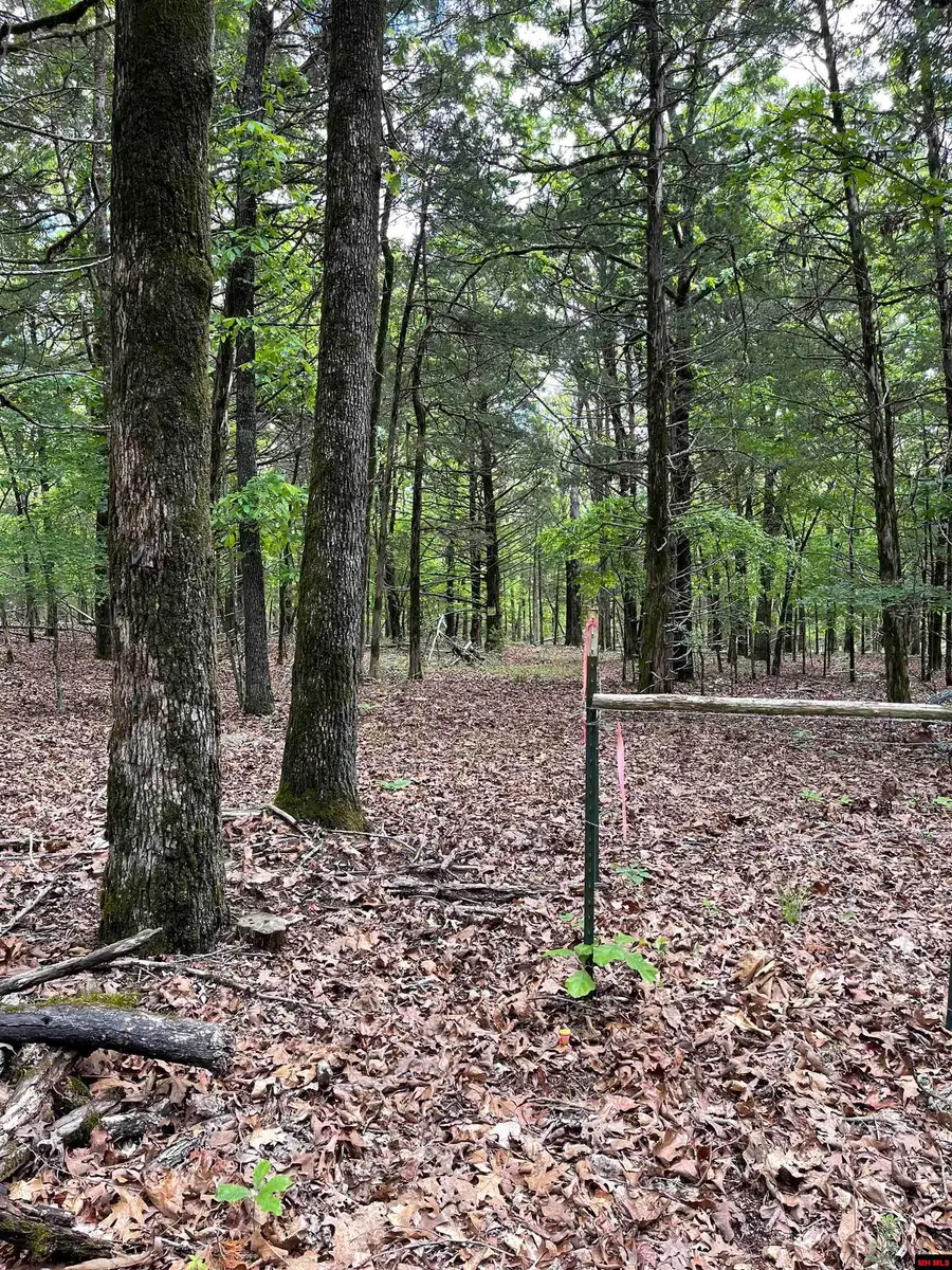 019-02865-000 TIMBER SHOALS ROAD, Cedar Creek, MO 65627 - #3