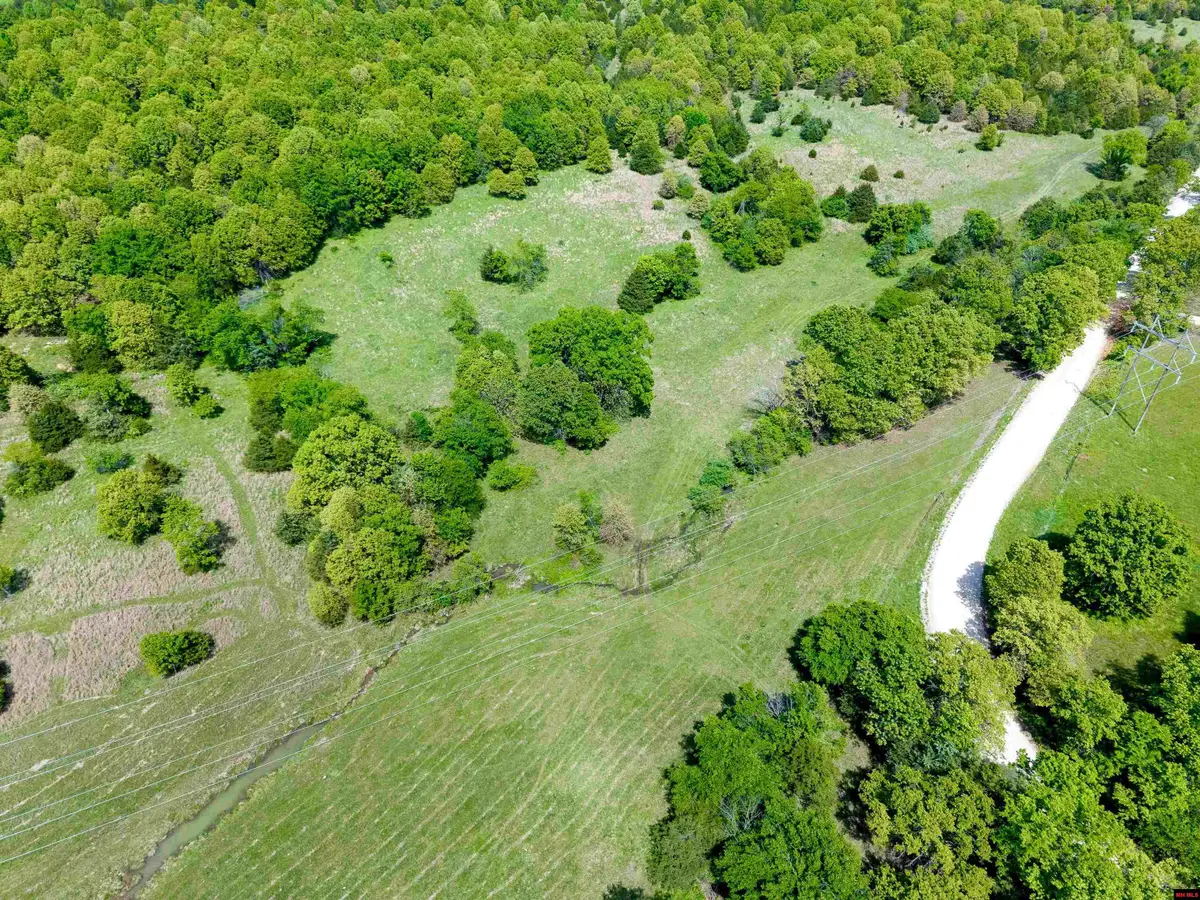 14-8.0-28-000-0 COUNTY ROAD 6750, West Plains, MO 65775 - #1