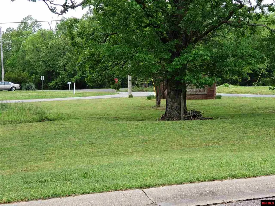 760 25327 000 SPRINGFLOWER STREET, Bull Shoals, AR 72619 - #2