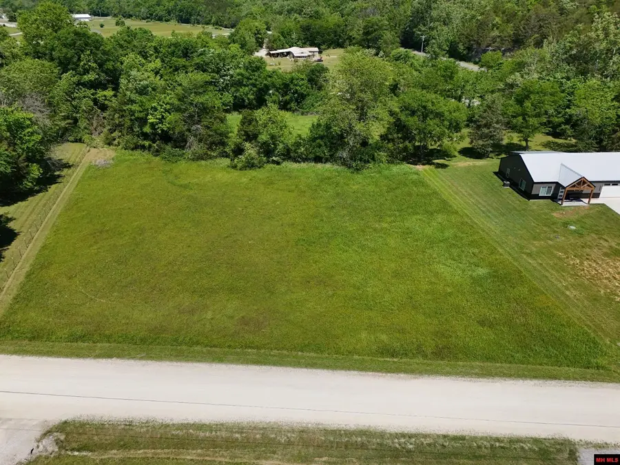 002-11070-006 DENTON FERRY DRIVE, Cotter, AR 72626 - #3