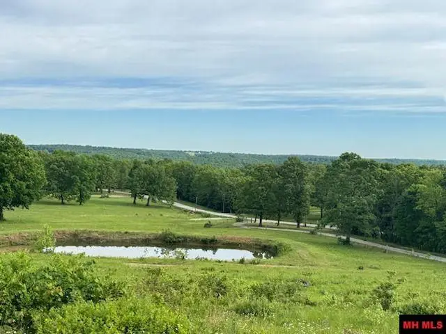 1979 OLD TRACY ROAD, Mountain Home, AR 72653 - #2