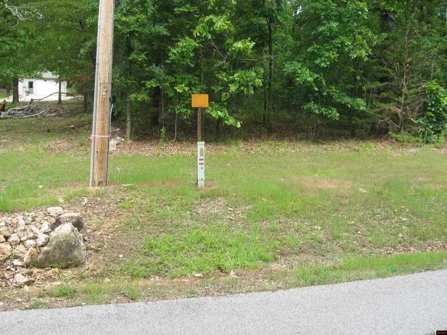 37 WINDSONG PLACE, Mountain Home, AR 72653 - #3