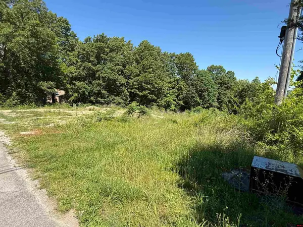 002-04235-000 WAYNE DRIVE, Lakeview, AR 72642
