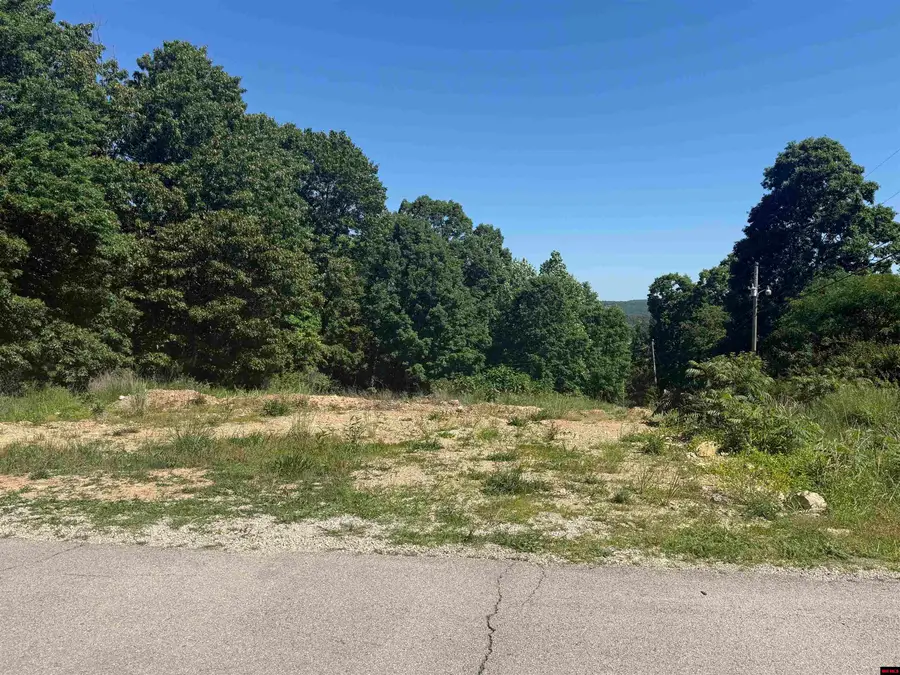 002-04235-000 WAYNE DRIVE, Lakeview, AR 72642 - #3