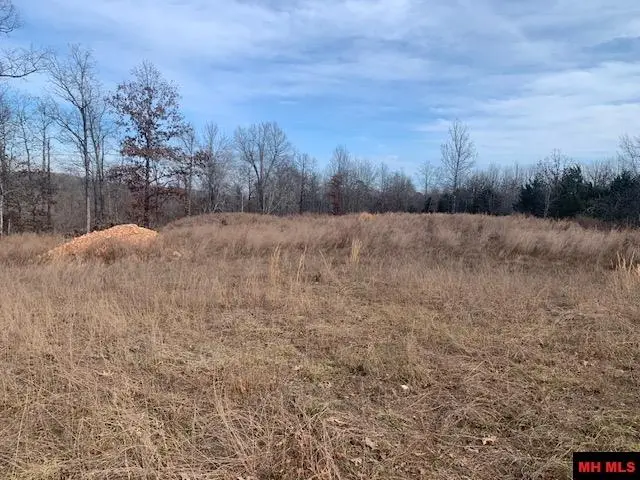001-05007-001 MCKENZIE RIDGE ROAD, Yellville, AR 72687 - #3