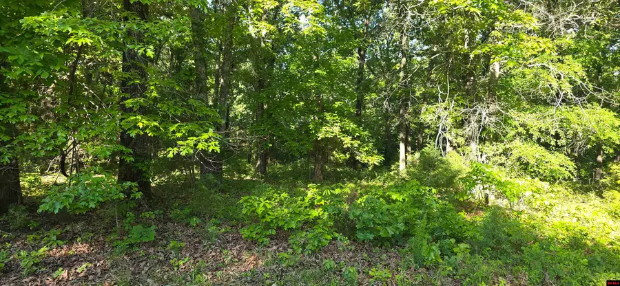 Lot 25 LAKEPOINTE DRIVE, Flippin, AR 72634 - #2