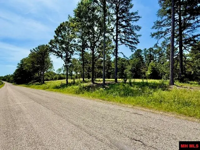 Off SHIPPS FERRY ROAD, Mountain Home, AR 72653 - #1
