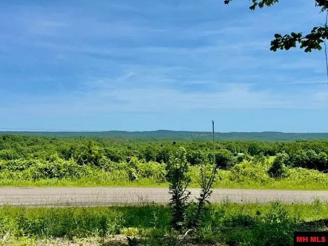 Off SHIPPS FERRY ROAD, Mountain Home, AR 72653 - #3
