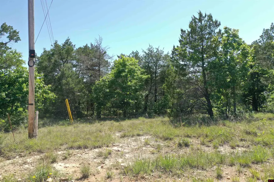 387 SOMER VIEW DRIVE, Clarkridge, AR 72623 - #2