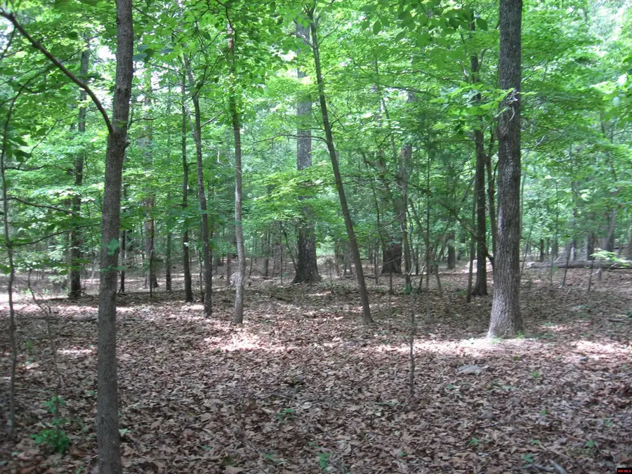 002-02922-007 ARAPAHO DRIVE, Clarkridge, AR 72623 - #2