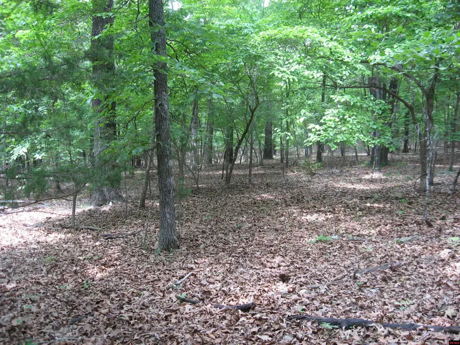 002-02922-007 ARAPAHO DRIVE, Clarkridge, AR 72623 - #3