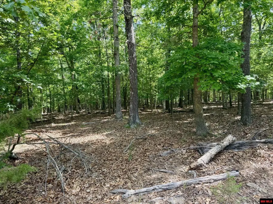 205-00001-000 FROST POINT ROAD, Yellville, AR 72687 - #2