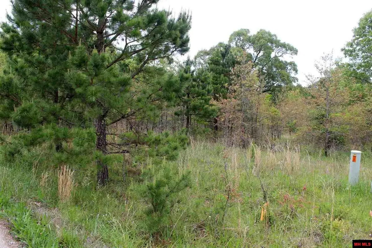 Lot 25 FARMER CIRCLE, Salesville, AR 72653 - #1