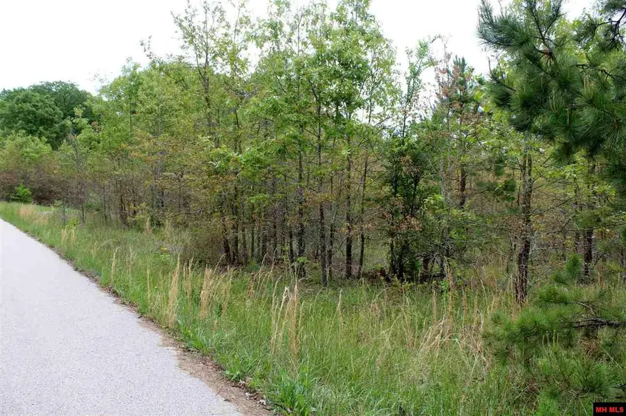 Lot 25 FARMER CIRCLE, Salesville, AR 72653 - #2