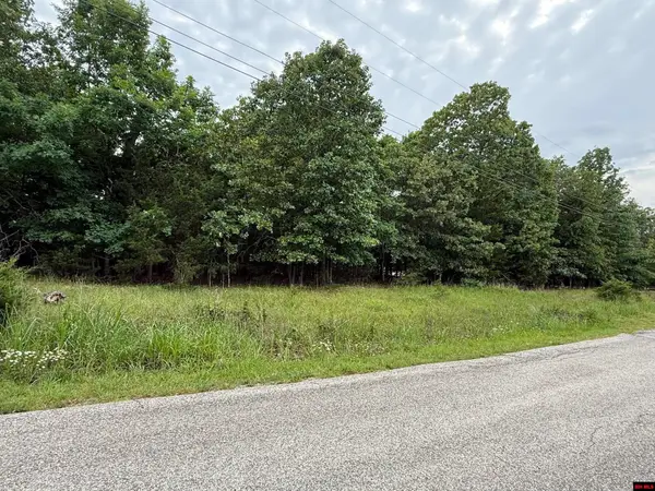 Lots 22-25 HICKORY FLATS LANE, Lakeview, AR 72642