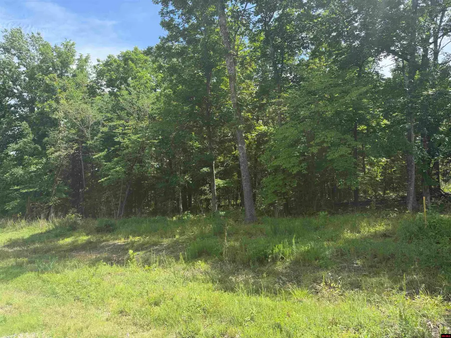 Tract 18 HWY 201 NORTH, Clarkridge, AR 72623 - #2