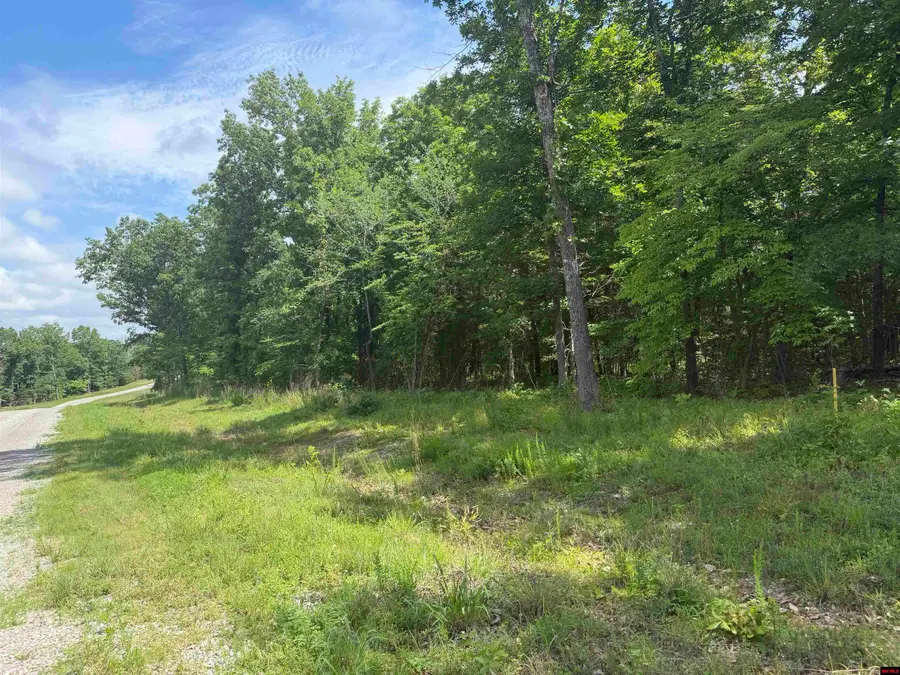 Tract 18 HWY 201 NORTH, Clarkridge, AR 72623 - #3
