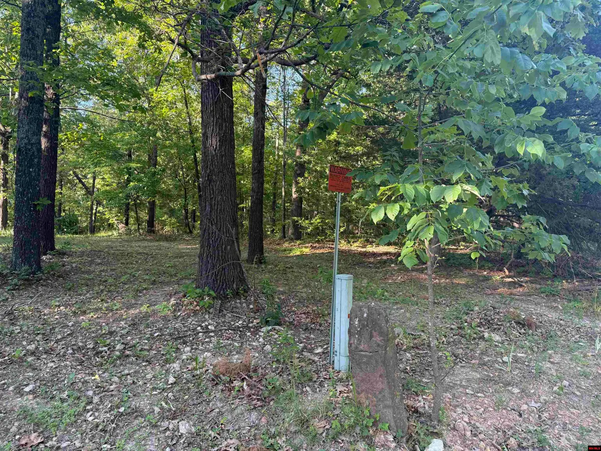 276 MC 6034, Yellville, AR 72687 - #1