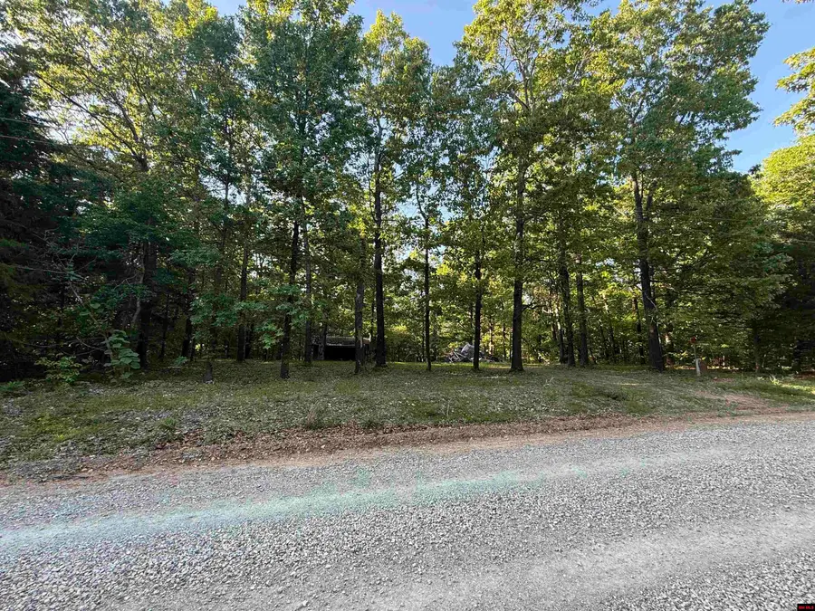 276 MC 6034, Yellville, AR 72687 - #2