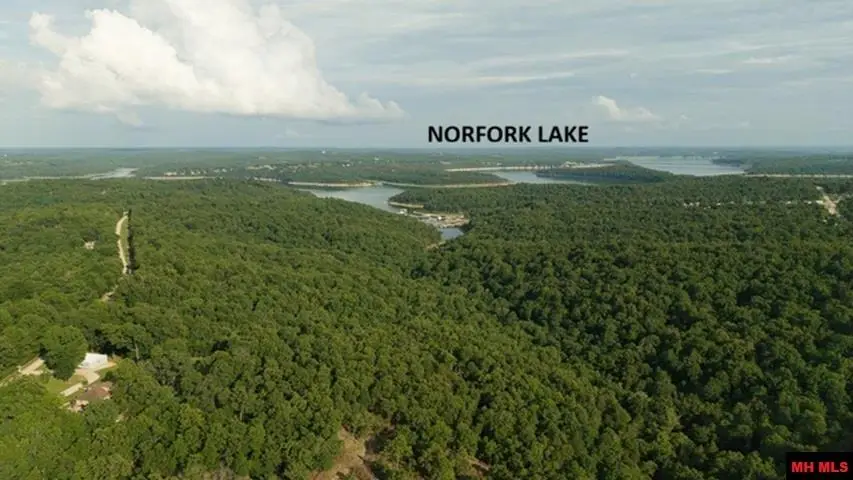 Lot 2 CR 804, Gamaliel, AR 72537 - #1