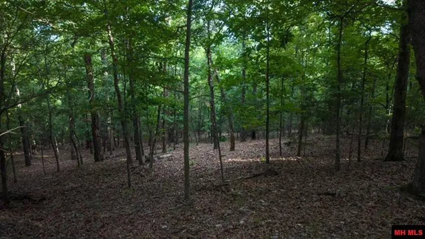 Lot 2 CR 804, Gamaliel, AR 72537 - #3