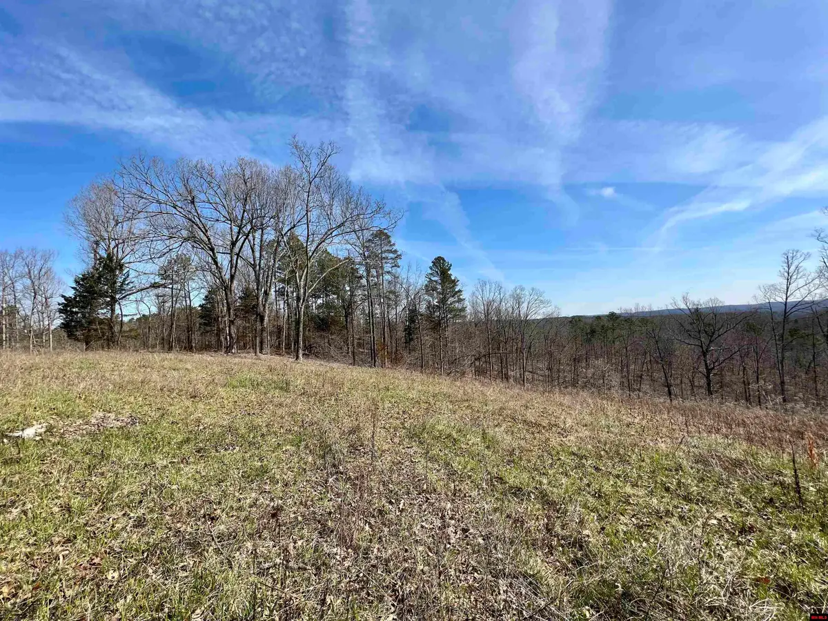Tract 4 RAMBLEWOOD TRAIL, Yellville, AR 72687 - #1